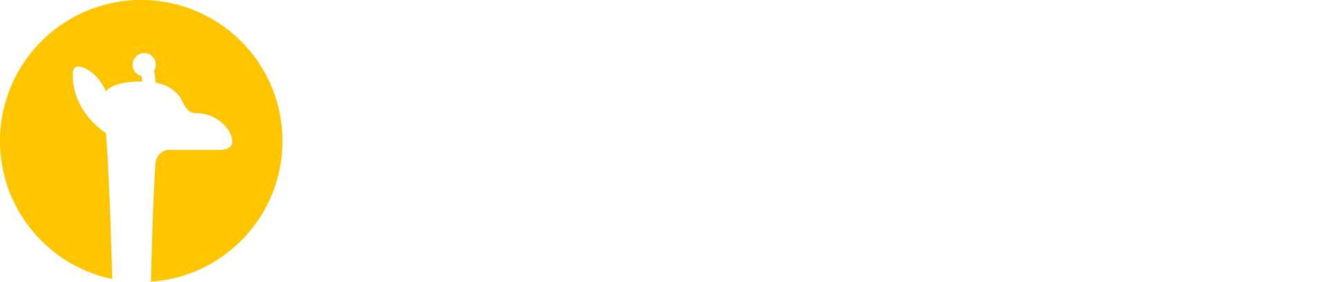 Logo of Senior Frontend Consultant at iO